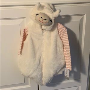 Carters Llama outfit.